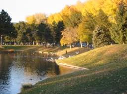 Airomee Wind live at Liberty park