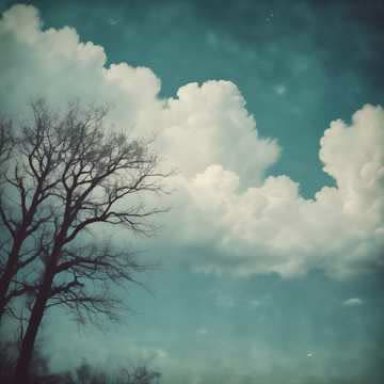 I wish you were here 